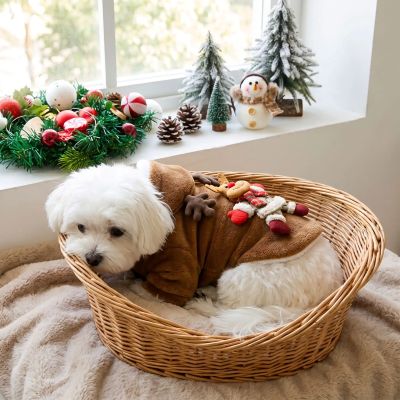 Pull pour chien Brunny Bichon blanc couche dans son panier avec le pull Elk