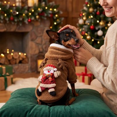 Pull pour chien Brunny Pinscher assis avec sa maîtresse montrant son pull Snowman