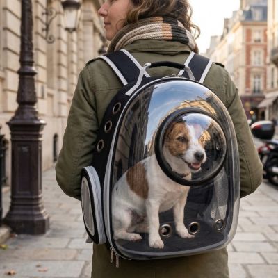 Sac à dos Glassy Maiîresse en ville avec son Jack Russell noir avec coque