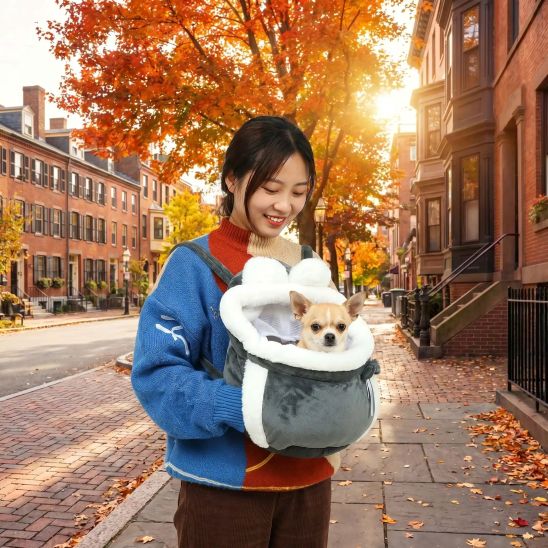 Sac de transport Cosy Maîtresse avec son chihuahua en ville sac gris