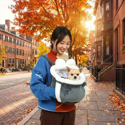 Sac de transport Cosy Maîtresse avec son chihuahua en ville sac gris