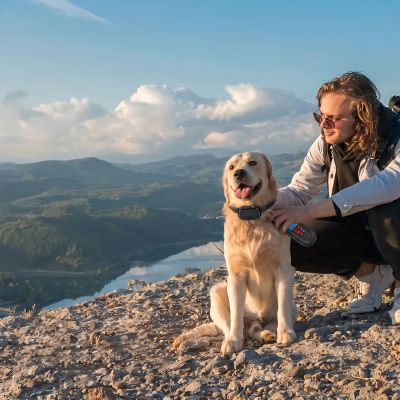 chien collier de dressage Aboistop Labrador assis en montagne