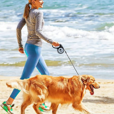 Chien laisse Padou Golden marche sur la plage avec sa maîtresse