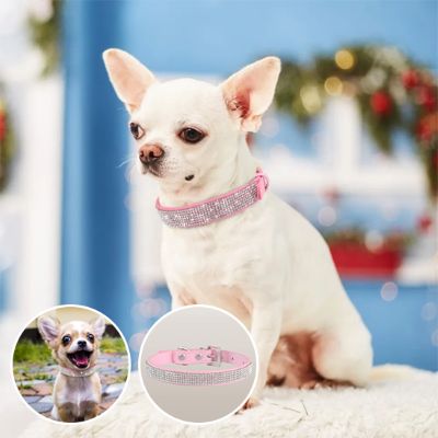 Collier pour chien diamanto chichi rose pastille
