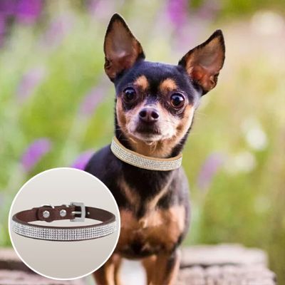 Collier pour chien diamanto brun pastille