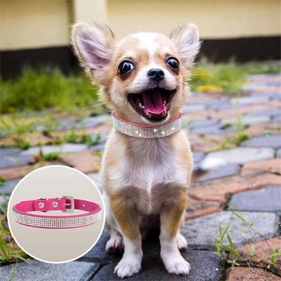 Collier pour chien diamanto rose pastille