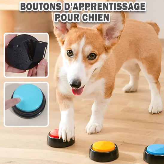 Communication Chien - Maitre Optimisée, Entrainement Facilité | Dog Buzzer™ - Accros Canins