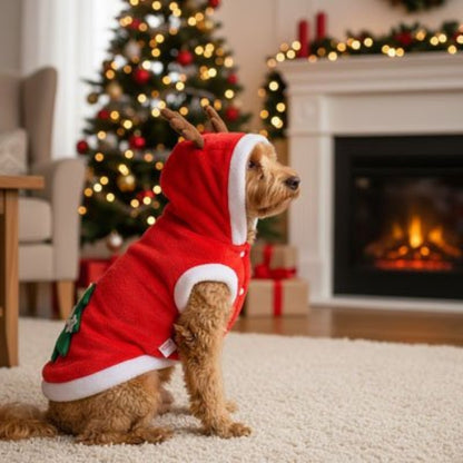 Déguisement Chien Père Noël Caniche assis montrant le costume de Sapin