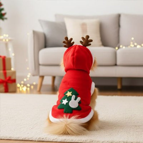 Déguisement Chien Père Noël Poméranien assis de dos montrant le motif sapin