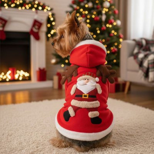 Déguisement Chien Père Noël York Shire assis de dos montrant le motif Père Noël