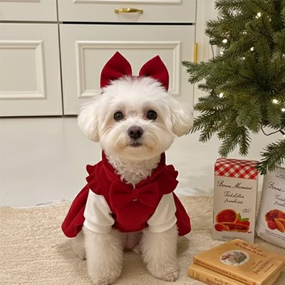 Déguisement chien Suzy Bichon blanc montrant la robe de face