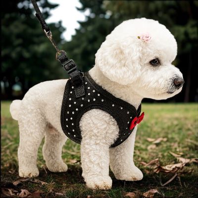Harnais petit chien Star Caniche blanc montre de côté le harnais noir