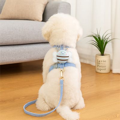 Harnais pour chien BeeStyle Caniche blanc assis de dos avec le harnais bleu