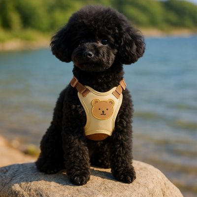 Harnais pour petit chien Ludo Caniche noir assis sur une roche avec le harnais beige