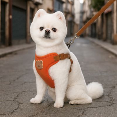 Harnais pour petit chien Ludo Chien blanc assis dans la rue avec le harnais orange