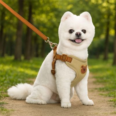 Harnais pour petit chien Ludo petit chien blanc assis sur un sentier avec le harnais beige