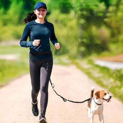 Laisse canicross Bungee Beagle courant avec sa maîtresse avec la laisse
