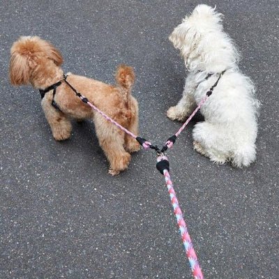Laisse double pour chien Doubly deux petits chiens en pause sur la rue avec laisse rose