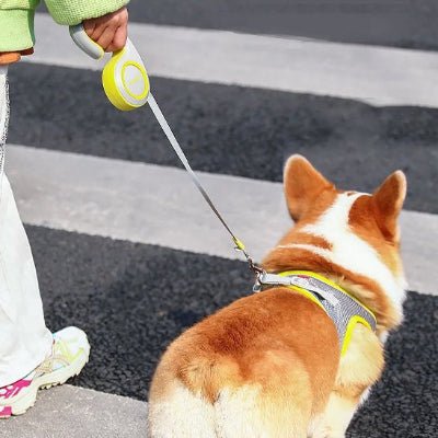Laisse pour chien Enrouleur Corgi de dos