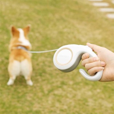 Laisse pour chien Enrouleur