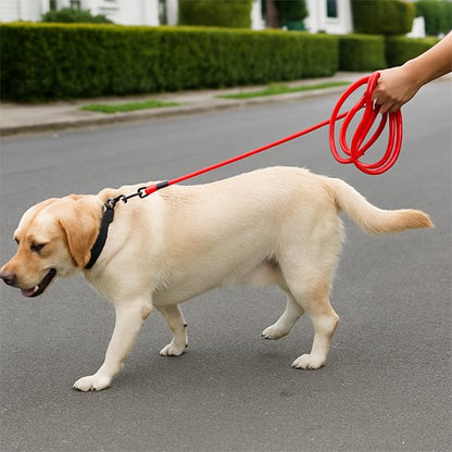 Longe chien Escapade Labrador marchant dans la rue avec une longe rouge