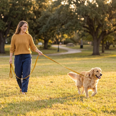 Longe Chiens Woufflo jaune Labrador en ballade