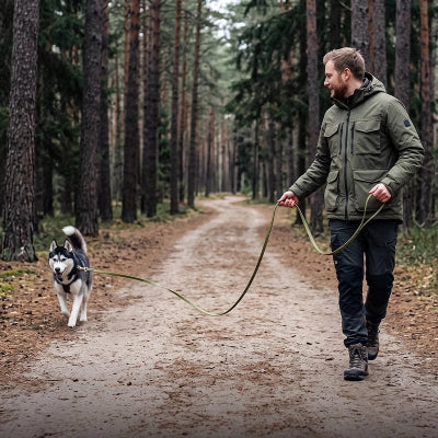 Longe Chiens Woufflo vert Husky marchant sentier