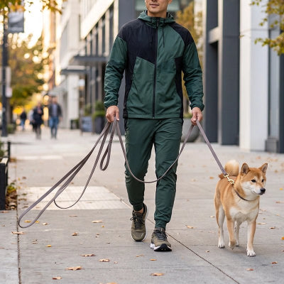 Longe pour Chien Averta grise Shiba Inu en ballade en ville