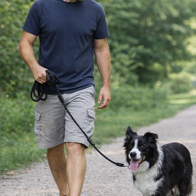 Longe pour Chien Intervalo border collie avec son maître marchant au parc avec longe noir