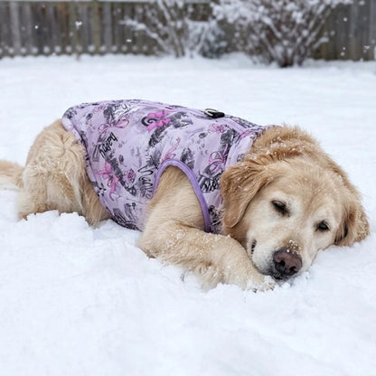 Manteau pour Chien Golden couché dans la neige avec le manteau violet