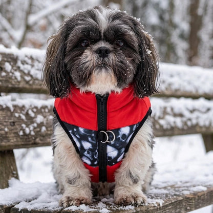 Manteau pour Chien ShihTzu assis sur banc avec manteau Rouge