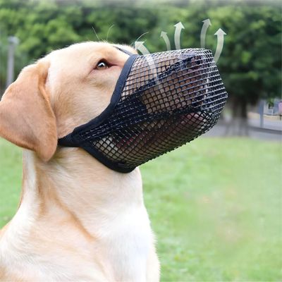 Muselière chien Net Pet Labrador haletant avec la muselière noire sur son museau
