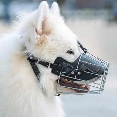 Museliere Proteck samoyede de cote