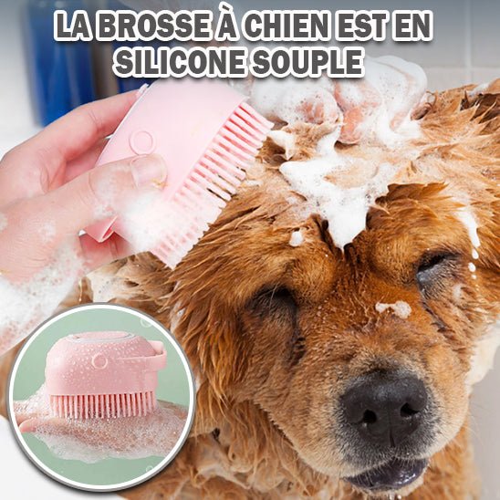 Nettoyage canin optimal | Dog Scrubber™ - Accros Canins