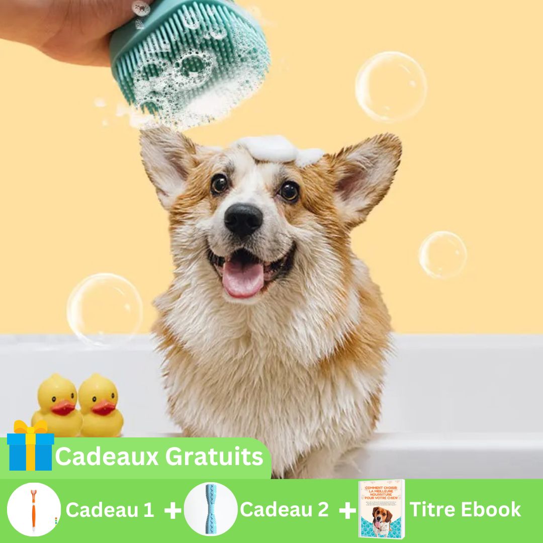 Nettoyage canin optimal | Dog Scrubber™ - Accros Canins