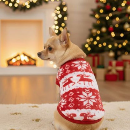 Pull pour Chien Renne et Flocon Chihuahua assis de dos montrant le pull blanc et rouge