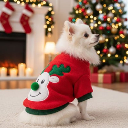 Pull pour Chien Renne et Flocon Poméranien assis avec le pull Renne rouge