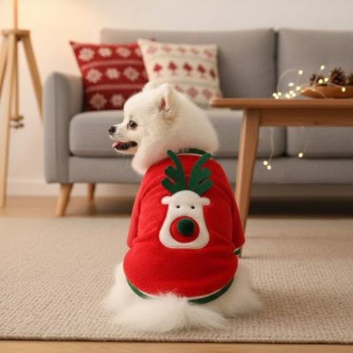 Pull pour Chien Renne et Flocon Poméranien blanc avec le pull Renne rouge