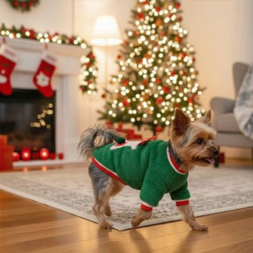 Pull pour Chien Renne et Flocon York Shire avec le pull Renne vert