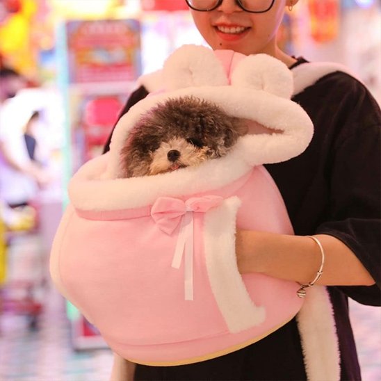 Sac de transport chien Cosy maîtresse avec petit caniche sac rose