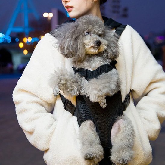 Sac de transport chien Trimballeur caniche dans le sac de transport noir en hiver