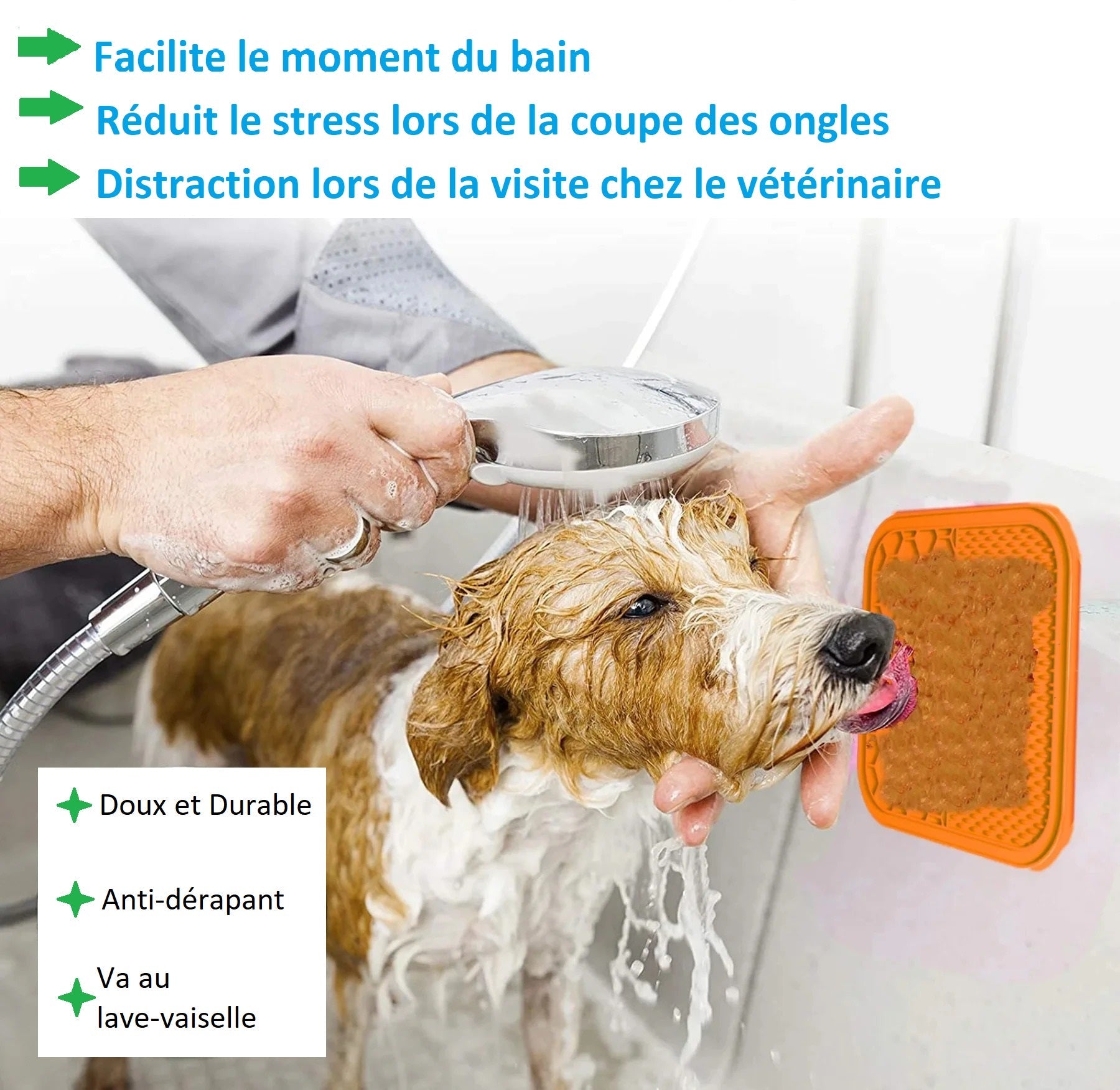 Tapis digestion lente|lickpad ™ - Accros Canins