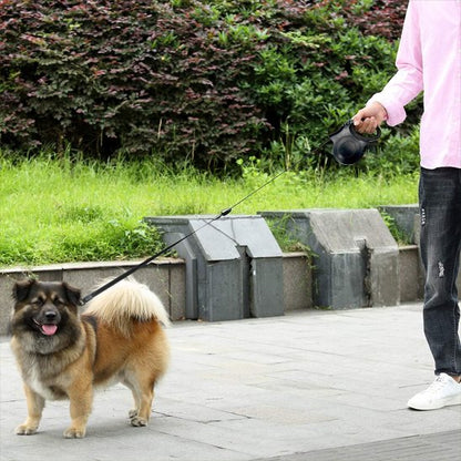 Une laisse de chien Eka maître promenant son chien sur le trottoir