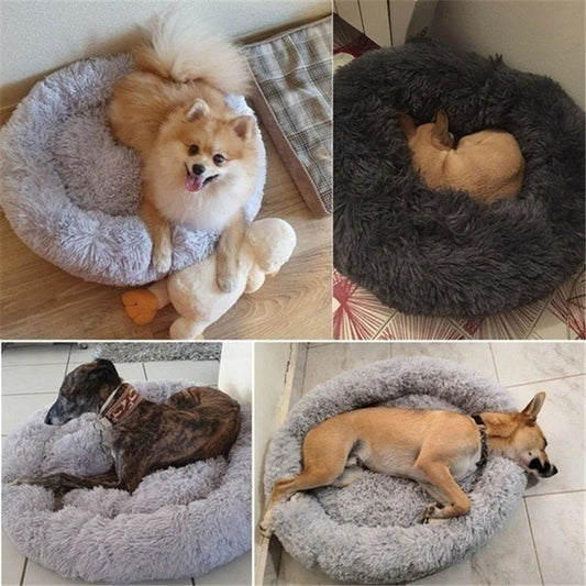 DoggyPouf™- Coussin doux pour chien - Accros Canins